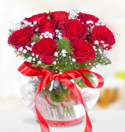 vazoda 36 kırmızı gül Çiçeği & Ürünü Cam Fanus 9 Gül 