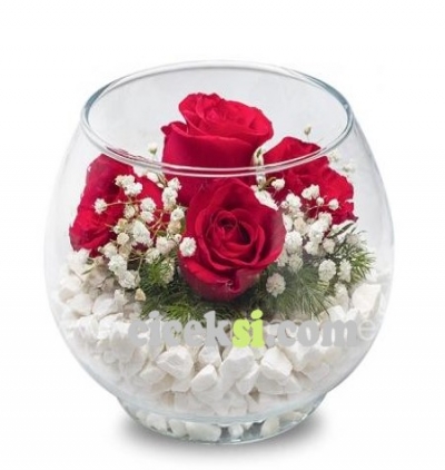 vazoda 12 kırmızı gül ve ayıcık Çiçeği & Ürünü Akvaryum Gülü 