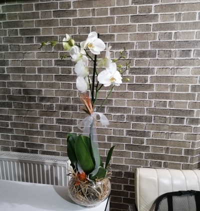  Erzurum Çiçek Siparişi Akvaryum Camda Orkide
