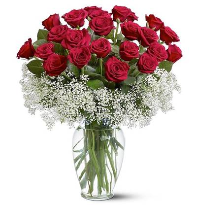cam fanus 9 gül Çiçeği & Ürünü Vazoda 24 Kırmızı Gül 