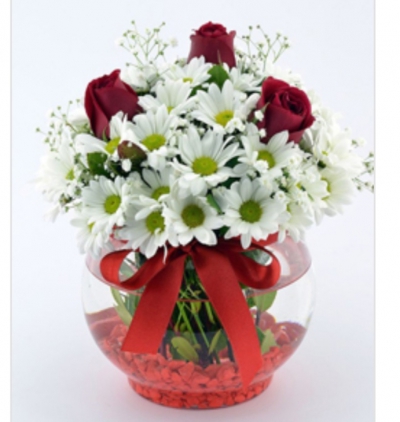 vazoda 12 kırmızı gül arajman Çiçeği & Ürünü Fanus gülü 