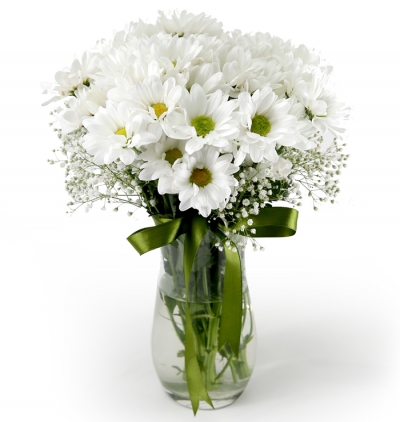 vazoda 12 beyaz gül Çiçeği & Ürünü Papatyam Aşkım 