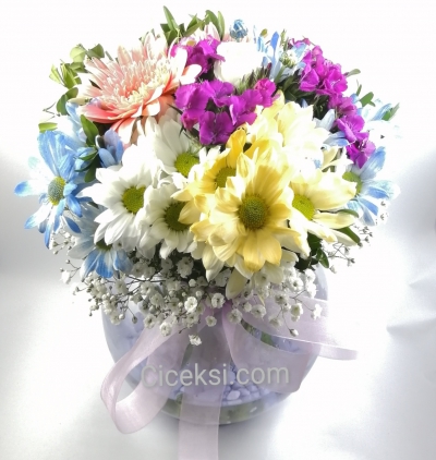 premium fanus Çiçeği & Ürünü Faunus bahar 